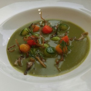 IMG_20160325_121327 (1)           